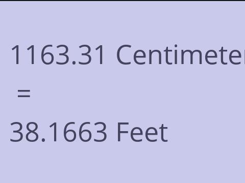 1163.31 CM TO FEET