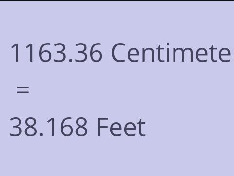 1163.36 CM TO FEET