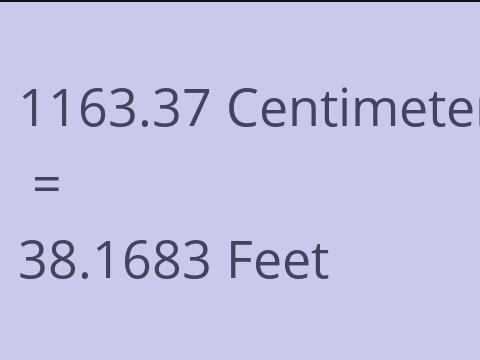 1163.37 CM TO FEET