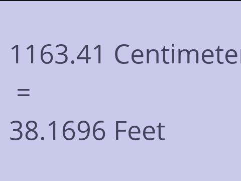 1163.41 CM TO FEET