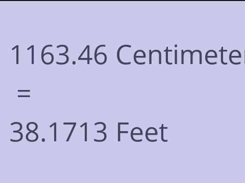 1163.46 CM TO FEET