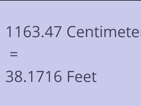 1163.47 CM TO FEET