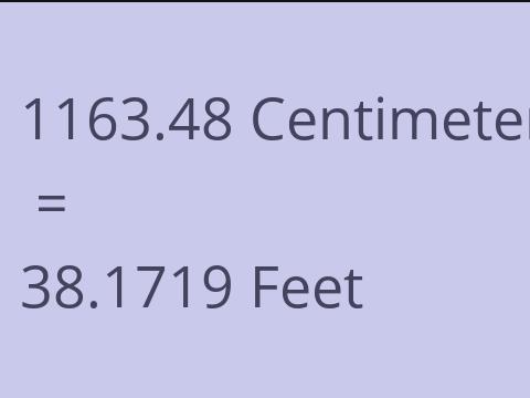 1163.48 CM TO FEET