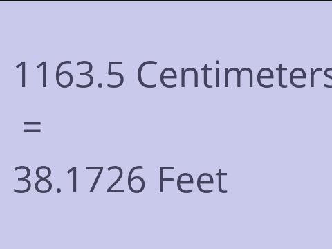 1163.5 CM TO FEET