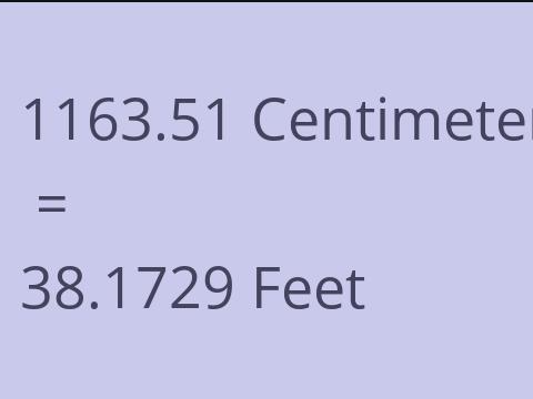 1163.51 CM TO FEET