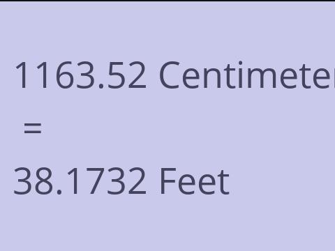 1163.52 CM TO FEET