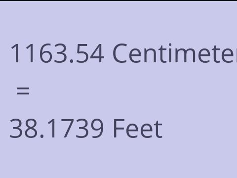 1163.54 CM TO FEET