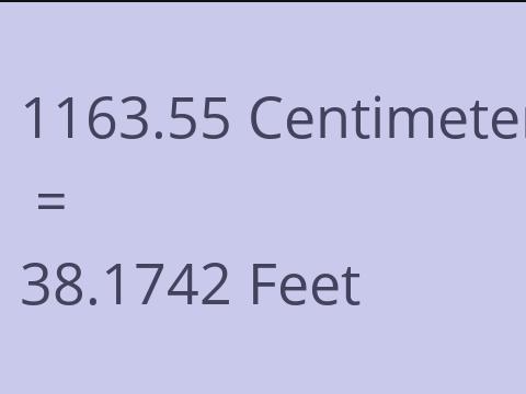 1163.55 CM TO FEET