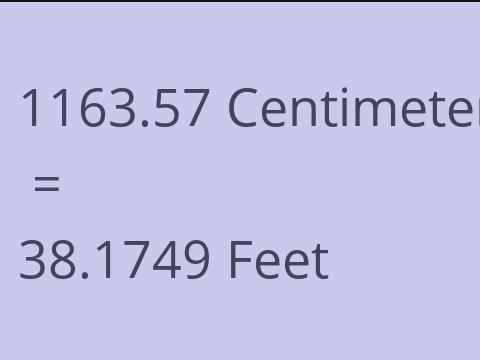 1163.57 CM TO FEET