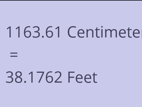 1163.61 CM TO FEET