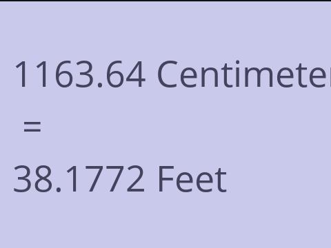 1163.64 CM TO FEET