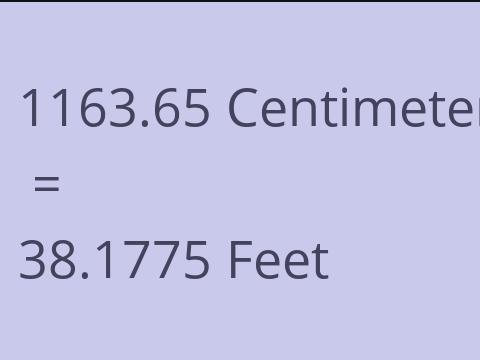 1163.65 CM TO FEET