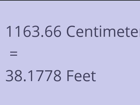 1163.66 CM TO FEET