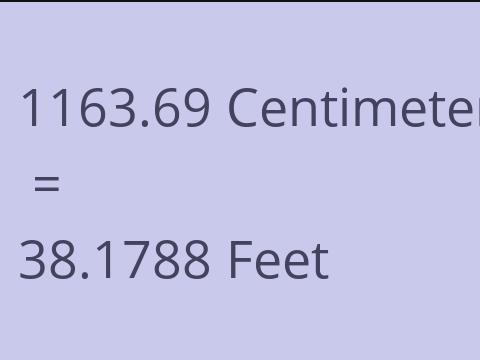 1163.69 CM TO FEET