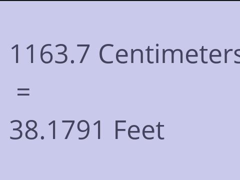 1163.7 CM TO FEET