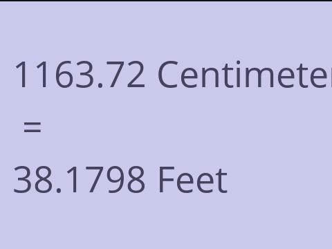 1163.72 CM TO FEET