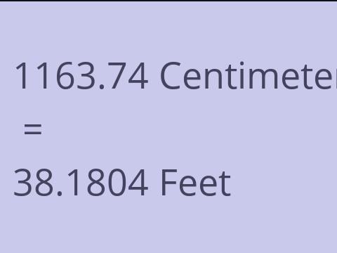 1163.74 CM TO FEET