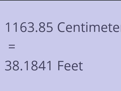 1163.85 CM TO FEET