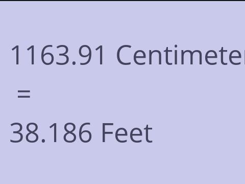 1163.91 CM TO FEET