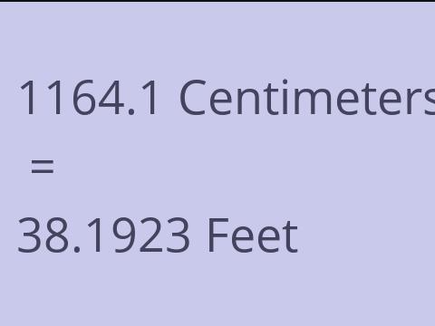 1164.1 CM TO FEET