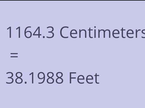 1164.3 CM TO FEET