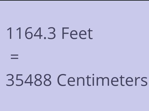 1164.3 FEET TO CM