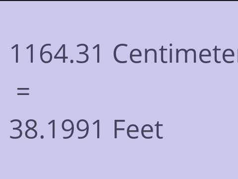 1164.31 CM TO FEET