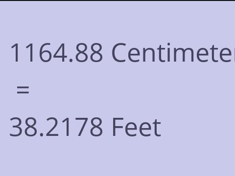 1164.88 CM TO FEET