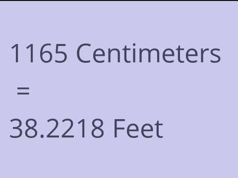 1165 CM TO FEET