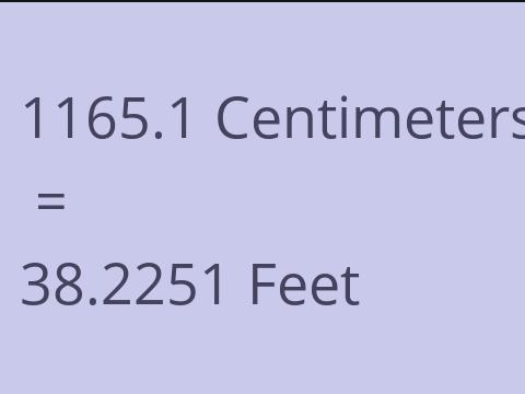 1165.1 CM TO FEET