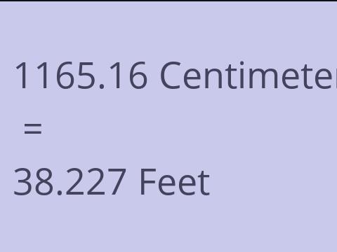 1165.16 CM TO FEET