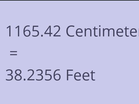 1165.42 CM TO FEET