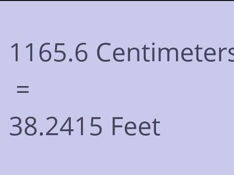 1165.6 CM TO FEET