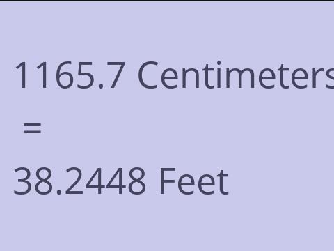 1165.7 CM TO FEET