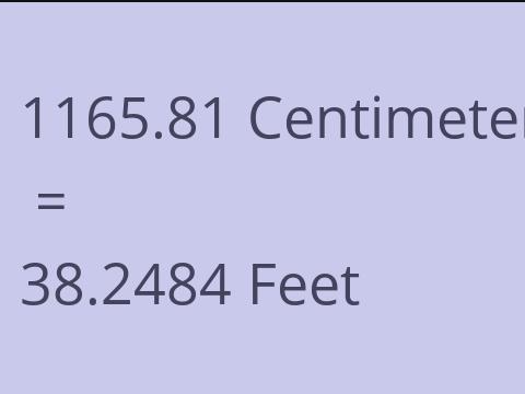 1165.81 CM TO FEET