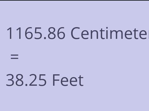 1165.86 CM TO FEET