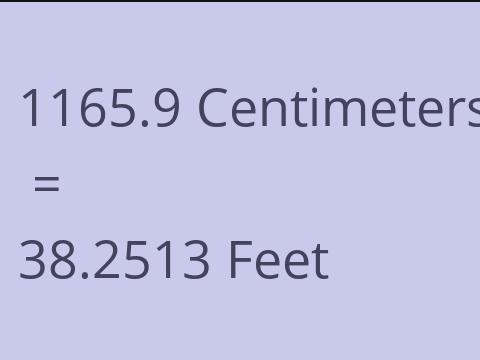 1165.9 CM TO FEET