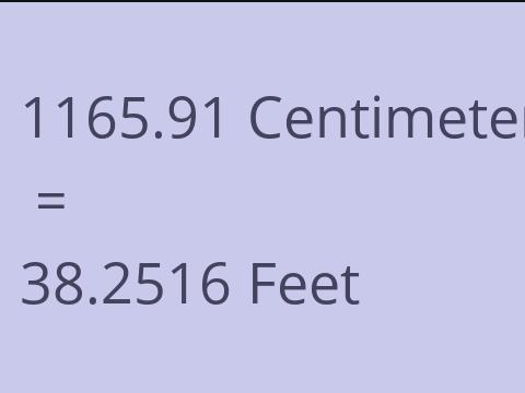 1165.91 CM TO FEET