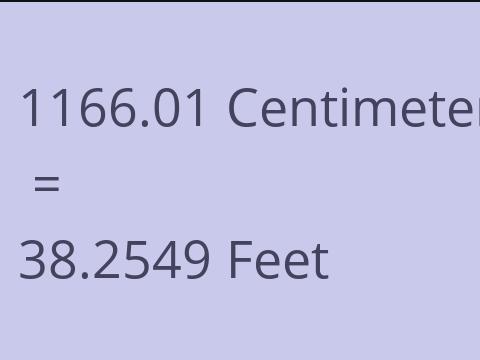 1166.01 CM TO FEET