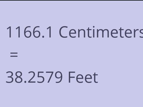 1166.1 CM TO FEET