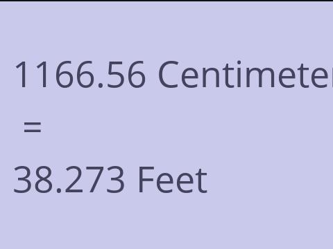 1166.56 CM TO FEET