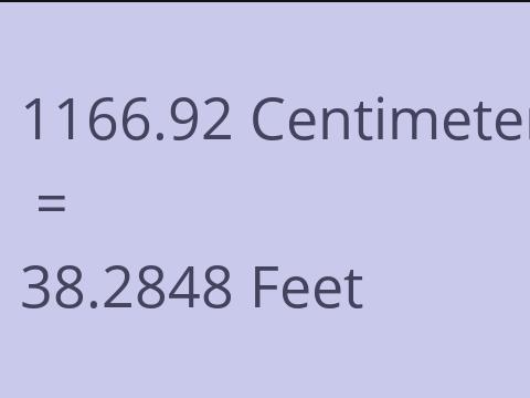 1166.92 CM TO FEET