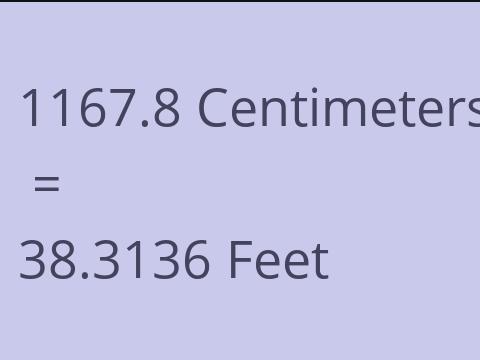 1167.8 CM TO FEET