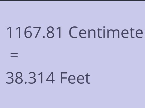 1167.81 CM TO FEET