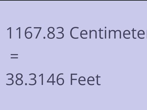 1167.83 CM TO FEET