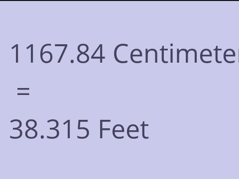 1167.84 CM TO FEET