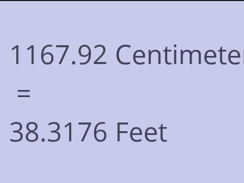 1167.92 CM TO FEET