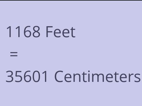 1168 FEET TO CM