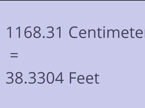 1168.31 CM TO FEET