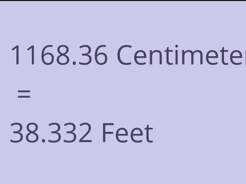 1168.36 CM TO FEET